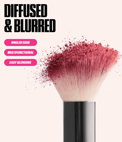 Blush & Brush Kit